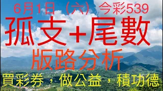 今彩539｜孤支+尾數｜牛哥539｜2024年06月01日（六）今彩539孤支尾數版路分析｜#539