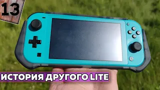 История ещё одного Nintendo Switch Lite