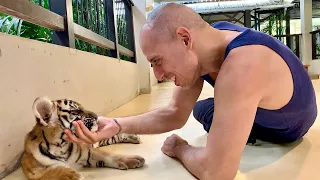 Playing with Baby Tigers at Pattaya Tiger Park ~ Thailand