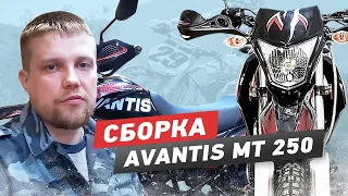 Avantis МТ 250 Сборка из коробки, предпродажная подготовка