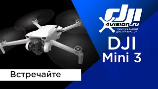 DJI Mini 3 - Встречайте (в переводе 4vision.ru)