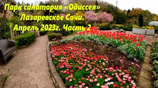 Парк санатория "Одиссея" Лазаревское ,апрель 2023г. 🌴ЛАЗАРЕВСКОЕ СЕГОДНЯ🌴СОЧИ.