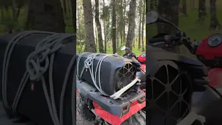 jbl partybox 1000 bass test in the forest