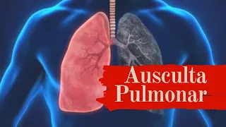 Ausculta Pulmonar ( roncos, sibilos, estertores ) ruídos adventícios