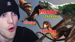 Dragon Size Comparison VHAGAR DROGON and SMAUG (Reaction)