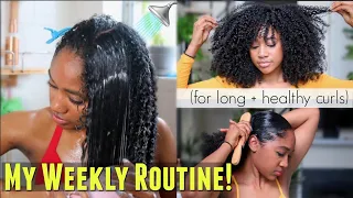 🚿My Weekly Natural Hair Regimen! (How I Refresh + Maintain EVERYDAY Definition)!| Long + Healthy