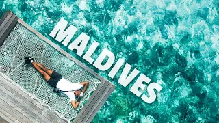 MALDIVES TRAVEL GUIDE | A Dream Travel Destination?