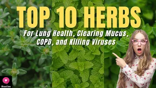 Top 10 Herbs for Lung Health, Clearing Mucus, COPD, and Killing Viruses | Blissed Zone