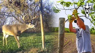 Archery Tips With Owen, Setting The Stage On The New 80 Continues | Midwest Whitetail