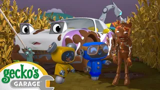 Muddy Maze Mission | Gecko's Magical World | Animal & Vehicle Cartoons | Cartoons for Kids