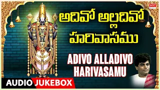 Adivo Alladivo Harivasamu | Vedavyasa Ananda Bhattar, Annamacharya  | Telugu Bhakthi Geethalu