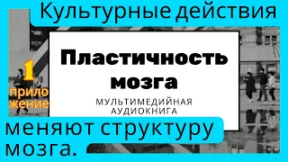 Пластичность мозга. Культурные действия меняют структуру мозга.