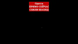 Одесса. ПРЯМО СЕЙЧАС СБИЛИ ШАХЕДА! ЭТО НАДО ВИДЕТЬ!