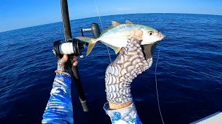 Epic Bite and Fight Deep Dropping This Bait! Catch, Clean, Cook Grouper