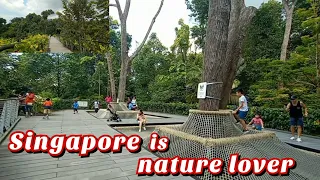 SINGAPORE CLEAN AND GREEN NATURE PARK | DISCOVER THE HIDDEN BEAUTY OF BOTANIC GARDENS (check it out)