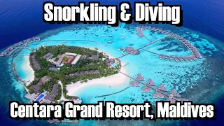 Snorkeling and Diving in and around Centara Grand, Maldives