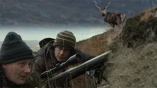 Deer stalking - Patrick Barkham in Scottish Highlands