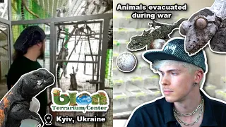 Interview & Tour of Bion, Animal Facility in Kyiv, Ukraine! How animals were affected by War
