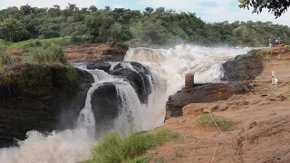 Amazing Boat Safari on the White Nile and Hiking to the Murchison Falls, Uganda 2019 (4K-Video)