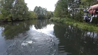 Щуки Много, но Клевала Только На Одну Приманку. Рыбалка На Малой Речке