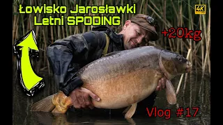 Jak łowić karpie - SPODING / Łowisko Jarosławki ... VLOG #17