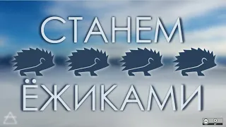 Станем ёжиками | мысли вслух к стриму "новый завет MД" @ctcburkhan