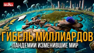 Как грызуны погубили жизни миллиардов? Самые страшные пандемии в истории человечества