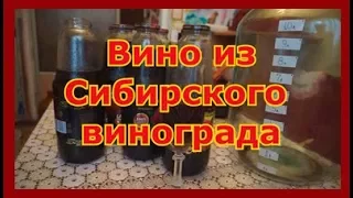 Вино из винограда изабелла проще некуда