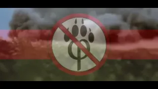 Anti furry patriotic song