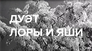 Дуэт Лоры и Яши | Белая акация | 1957