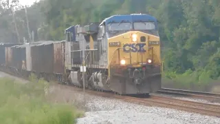 CSX M441 at Dade City, FL