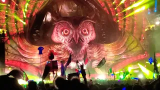 KYGO - EDC Orlando 2021 - Best Moment of the Set - Paradiso