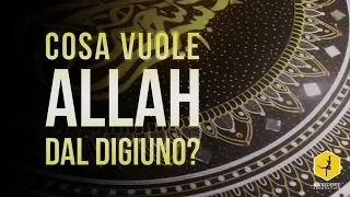 Cosa vuole Allah dal digiuno? - I Segreti di Ramadan #2