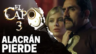 Alacrán pierde la contienda | El Capo 3