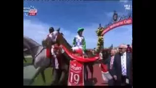 Melbourne Cup 2015  - Prince Of Penzance