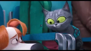 Вот человек у меня с прибабахом.. ТАЙНАЯ ЖИЗНЬ ДОМАШНИХ ЖИВОТНЫХ 2 - The Secret Life of Pets 2