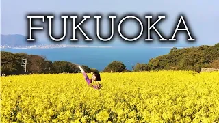 Let's Explore Fukuoka! | Must Visit Places