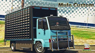 Mule Custom Review & Best Customization | GTA V Online | Armored VAN