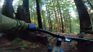 Demo flow trail segment 4 5 6