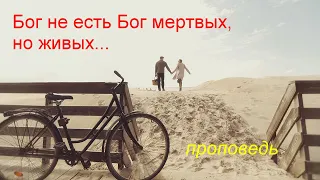 Бог не есть Бог мертвых, но живых