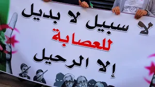 L'algérino  Algérie mi amor les manifestations en Algérie