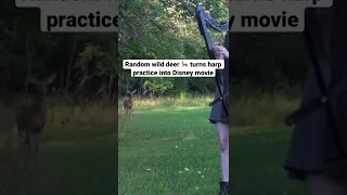 Wild deer 🦌 turns harp practice into Disney movie scene