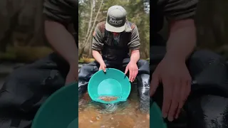 VA Gold Prospecting #goldprospecting #goldnugget #goldpanning #findinggold #oro #gold #goldrush #au