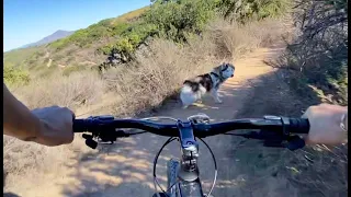 Cannondale Trail 7 2021 at Chula Vista MTB Trail