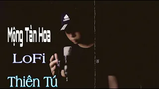 Mộng Tàn Hoa || Lofi || Thiên Tú || Hận Đời Cay Đắng Tiếng Yêu Thua Lợi Danh  || Nhạc Tiktok