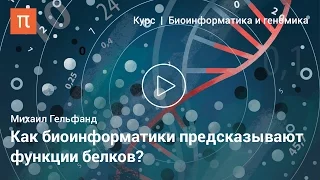 Биоинформатика как дисциплина — Михаил Гельфанд