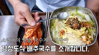 배추국수의 편견을 버리세요. 경상도식 배추국수의 새로운 맛을 보여드립니다.[ 잔치국수 소면 a dish of noodles ]