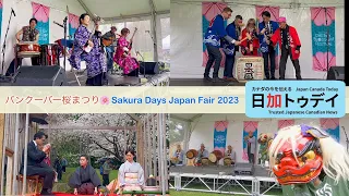 バンクーバー桜まつり 🌸 Sakura Days Japan Fair 2023 開催！