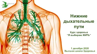 Болезни нижних дыхательных путей. Вебинар. Курс здоровья Я выбираю ЖИТЬ!