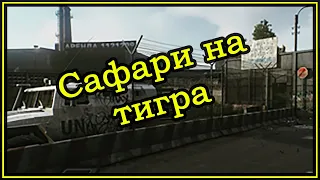 Квест Миротворца - Сафари на тигра ➤ Escape From Tarkov (Побег из Таркова). 2020